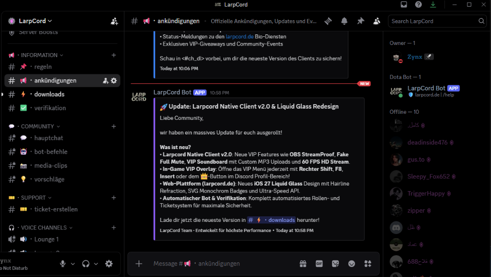 Discord Server Focused View
